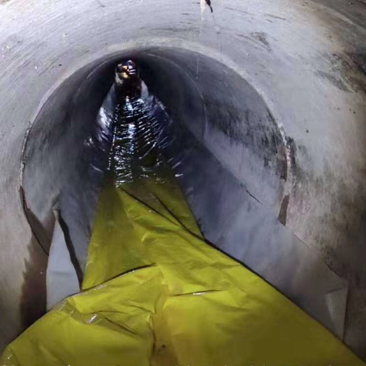 盘龙管道光固化修复